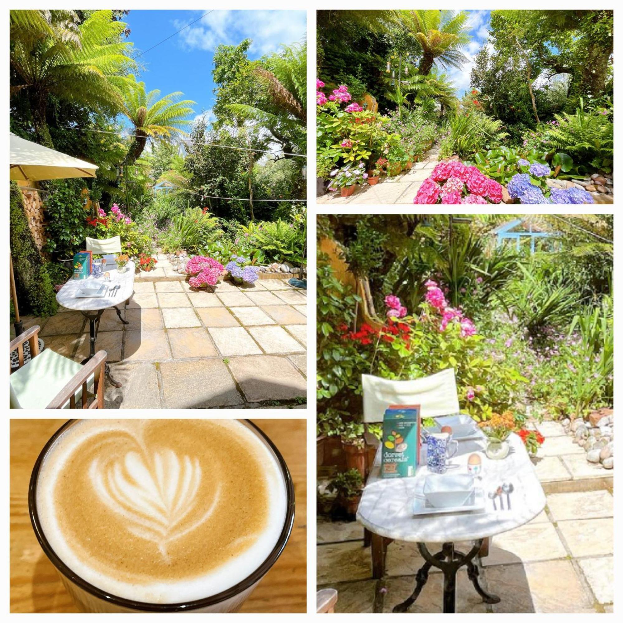 카디프 Funky Urban Jungle B&B 외부 사진