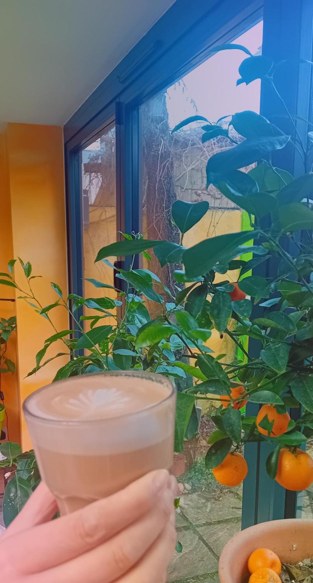 카디프 Funky Urban Jungle B&B 외부 사진